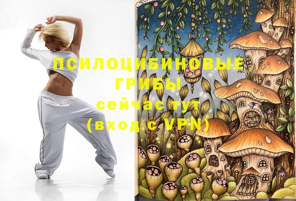 гашик Верхнеуральск