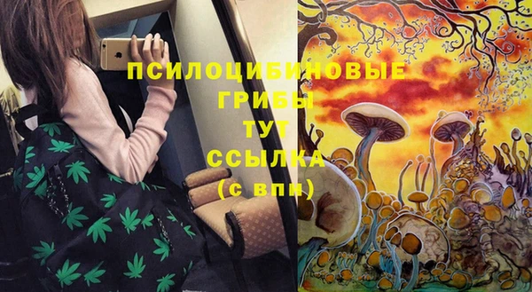 mix Верея