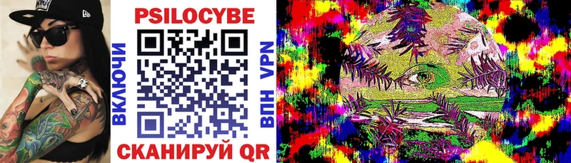 Купить закладки  Верхний Уфалей  Псилоцибиновые грибы Psilocybine cubensis 